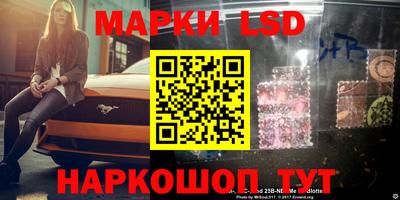 амф Гусев