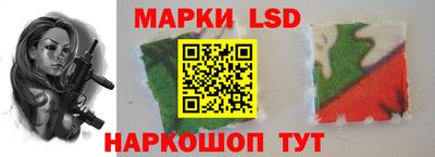 амф Гусев