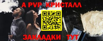 амф Гусев