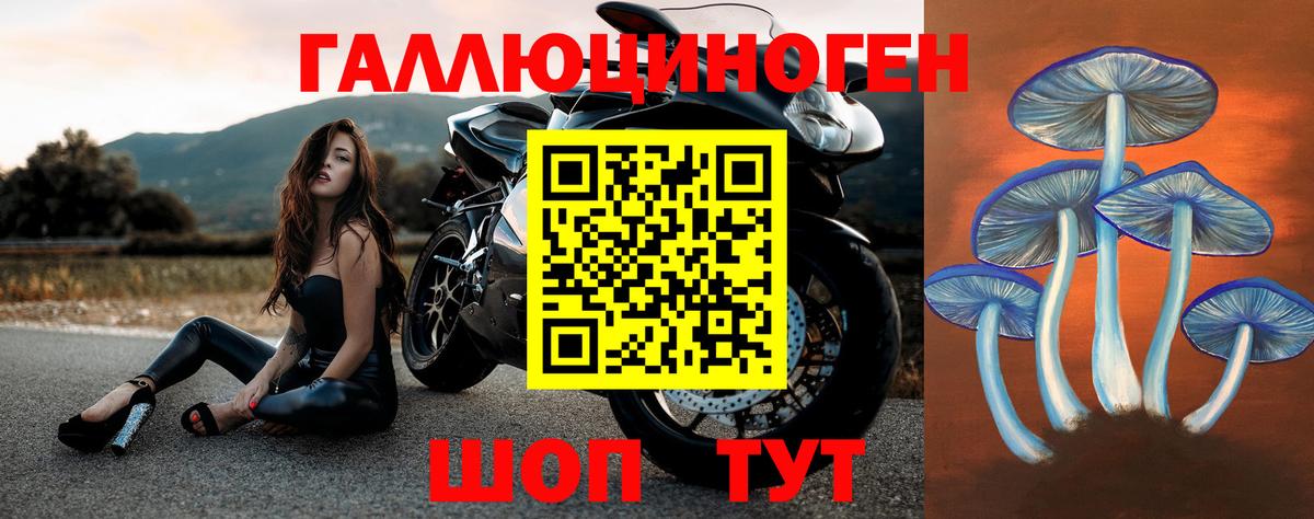 Изобильный  Псилоцибиновые грибы MAGIC MUSHROOMS  наркота  Вход с VPN 